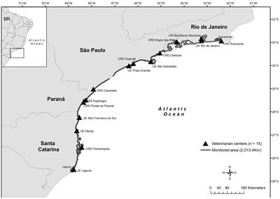 Impacts of pelagic longline fisheries on sea turtles in the Santos Basin, Brazil